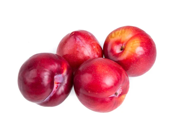 Nectarines — Stockfoto