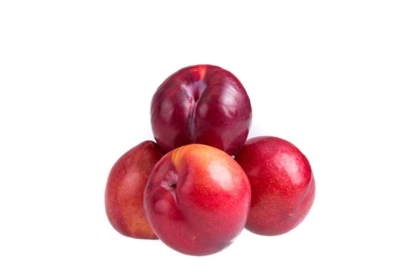 Nectarines — Stock Photo, Image