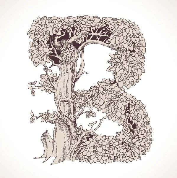 Волшебный лес, рисованной из деревьев, старинный шрифт - B — стоковый вектор