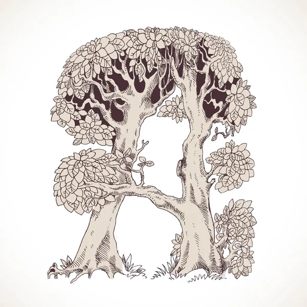 Magic forest hand drawn from trees by a vintage font - A — Stok Vektör