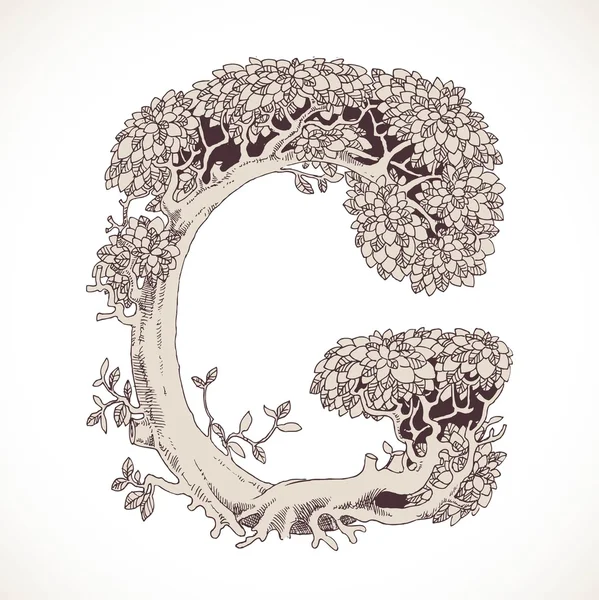 Kouzelný Les rukou ze stromů tažený vinobraní písmo - G — Stockový vektor