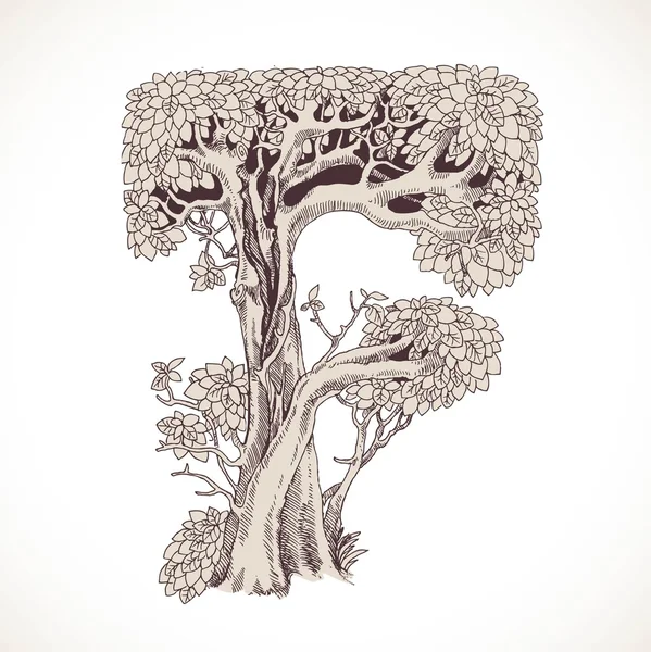 Mano di foresta magica disegnata da alberi da un tipo di carattere dell'annata - F — Vettoriale Stock