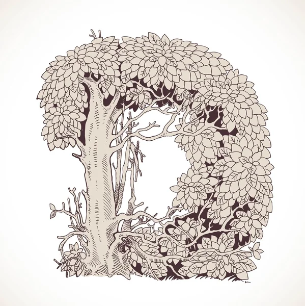 Magic forest hand drawn from trees by a vintage font - D — Wektor stockowy