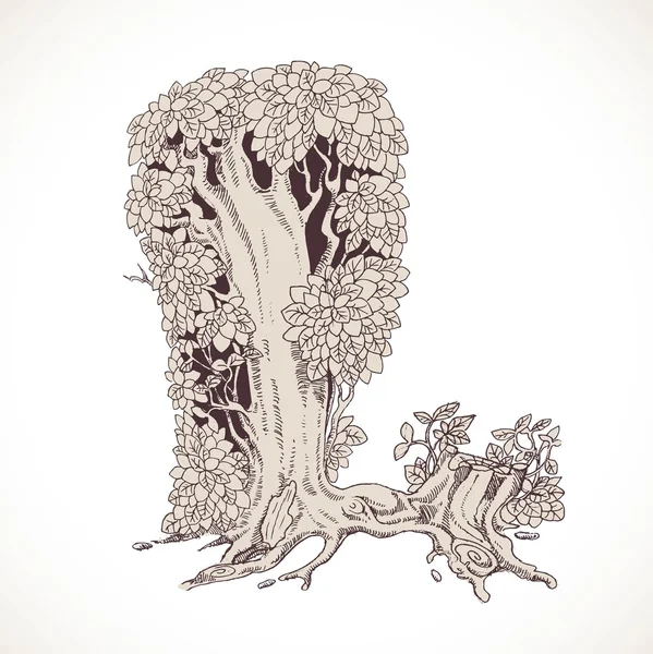 Zauberwald handgezeichnete von Bäumen durch eine alte Schrift - L — Stockvektor