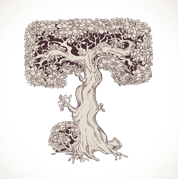 Mano de bosque mágico dibujado de los árboles por una fuente vintage - T — Vector de stock