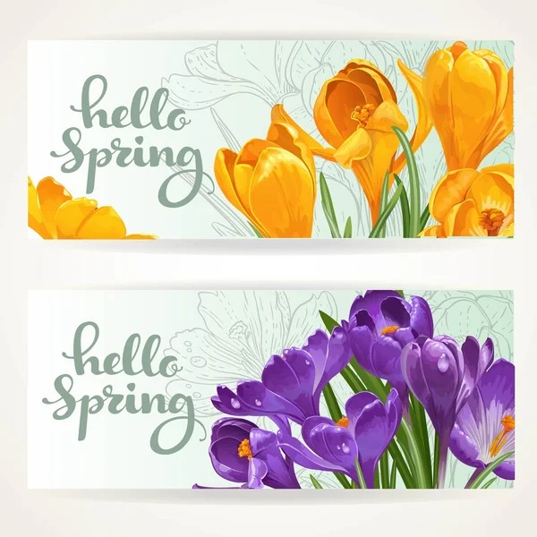 Ciao primavera di due bandiere orizzontali con crocu giallo e viola — Vettoriale Stock