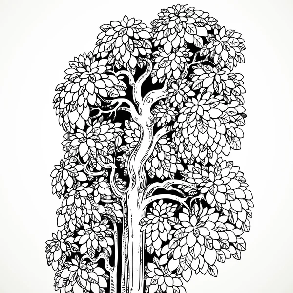 Graphically drawing black ink tree with luxuriant branches and l — Stock Vector