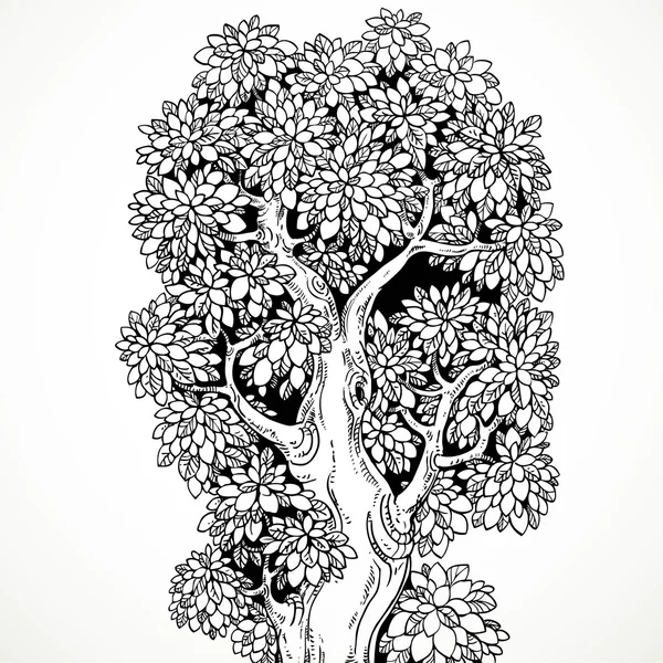 Rita grafiskt svart bläck stora gamla träd isolerade på vit ba — Stock vektor