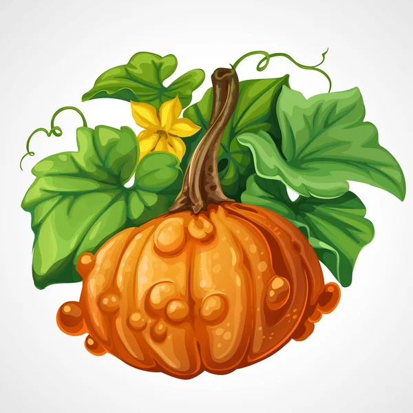 Хэллоуин тыква красивого оранжевый с зелеными листьями, изолированные на — стоковый вектор