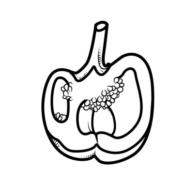 Beyaz arkaplanda doğrusal çizim ile tatlı dolma biberi kes