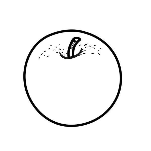 Beyaz Arkaplanda Tatlı Elma Doğrusal Çizimi — Stok Vektör