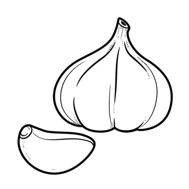 Sarımsak ve karanfilin başı beyaz arka planda ayrı doğrusal çizim yapıyor.