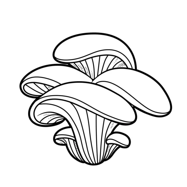 Austernpilz Lineare Zeichnung Auf Weißem Hintergrund — Stockvektor