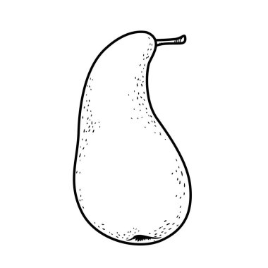 Eğri konferans armut çeşitleri beyaz arkaplanda doğrusal çizim