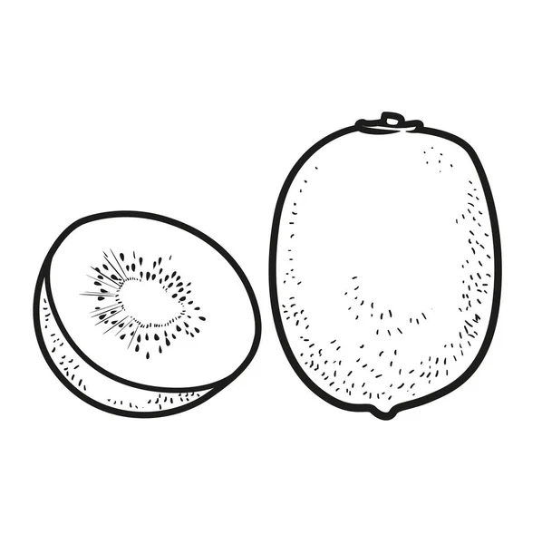 Hele Gesneden Kiwi Lineaire Tekening Witte Achtergrond — Stockvector