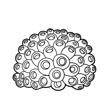 Beyaz arkaplanda izole edilmiş sünger boyama kitabı doğrusal çizimi