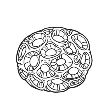 Beyaz arkaplanda izole edilmiş Yuvarlak Sünger 1 boyama kitabı doğrusal çizimi