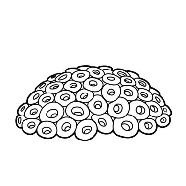 Süngerler beyaz arkaplanda izole edilmiş yarım daire boyama kitabı doğrusal çiziminde büyürler