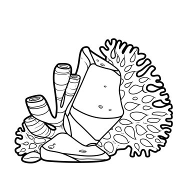 Sünger ve mercanların beyaz arkaplanda izole edilmiş doğrusal boyama kitabı çizdiği taş.