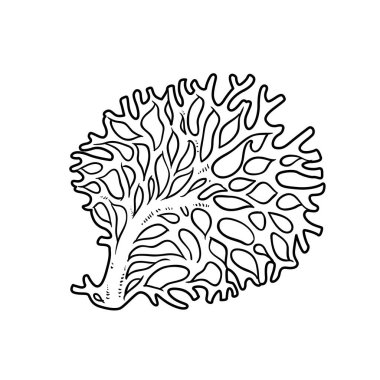 Beyaz arkaplanda izole edilmiş büyük yuvarlak mercan boyama kitabı doğrusal çizim