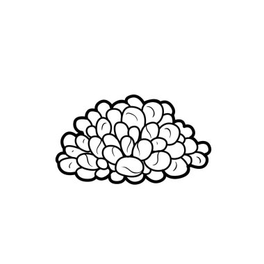 Boyama kitabı doğrusal çizimi için Anemone beyaz arkaplanda izole edildi