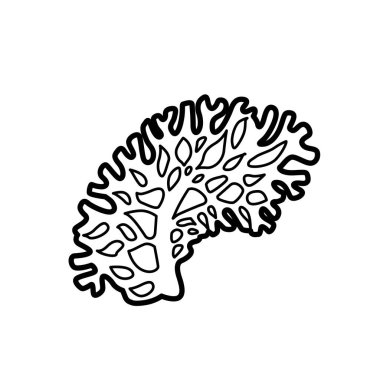 Beyaz arkaplanda izole edilmiş Corall boyama kitabı doğrusal çizimi