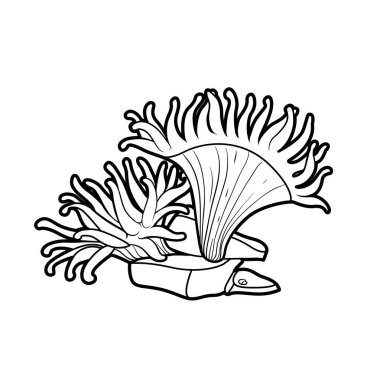 Beyaz arkaplanda izole edilmiş taş boyama kitabı doğrusal çizimi üzerindeki amonezler