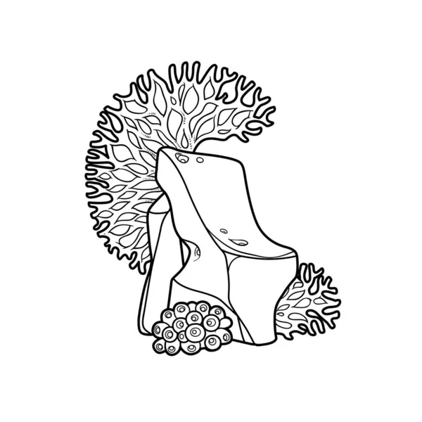 Grand Corall Anémone Ronde Sur Grès Livre Colorier Dessin Linéaire — Image vectorielle