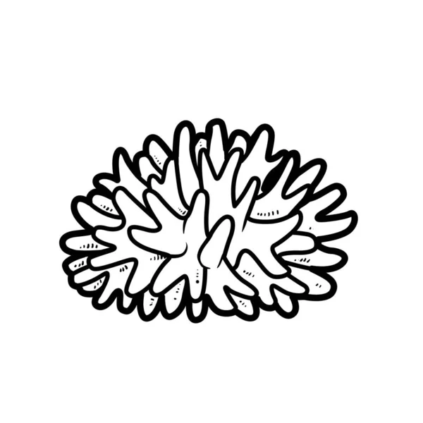 白色背景下孤立的圆形珊瑚物体着色书线性绘图 — 图库矢量图片