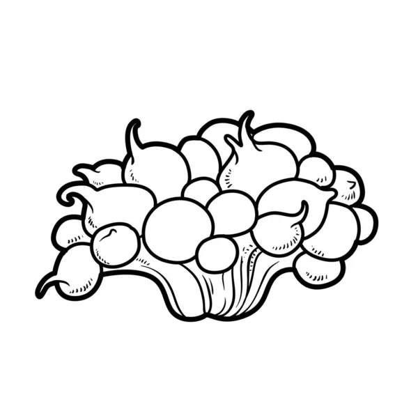 Ampio Disegno Lineare Libro Colorare Anemoni Bassi Isolato Sfondo Bianco — Vettoriale Stock