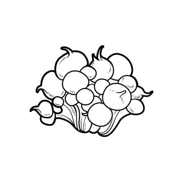 Beyaz arkaplanda izole edilmiş yemyeşil deniz şakayığı boyama kitabı doğrusal çizimi