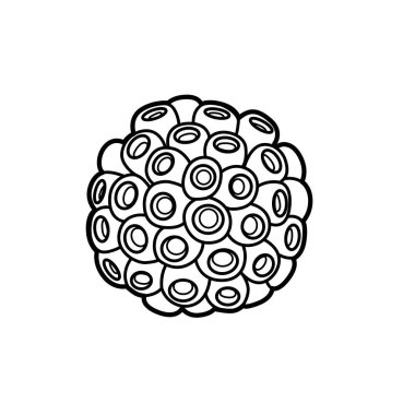 Yuvarlak deniz süngeri nesne boyama kitabı doğrusal çizimi beyaz arkaplanda izole