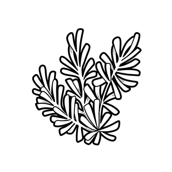Meer Üppige Algen Malbuch Lineare Zeichnung Isoliert Auf Weißem Hintergrund — Stockvektor