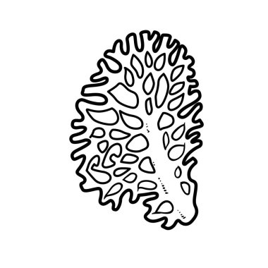 Beyaz arkaplanda izole edilmiş mercan boyama kitabı doğrusal çizimi