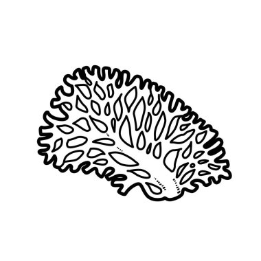 Beyaz arkaplanda izole edilmiş yelpaze şekilli mercan boyama kitabı doğrusal çizimi