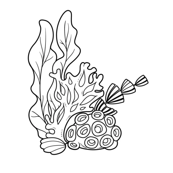 Desenhos Animados Objetos Mar Com Algas Corais Delineados Para Colorir — Vetor de Stock