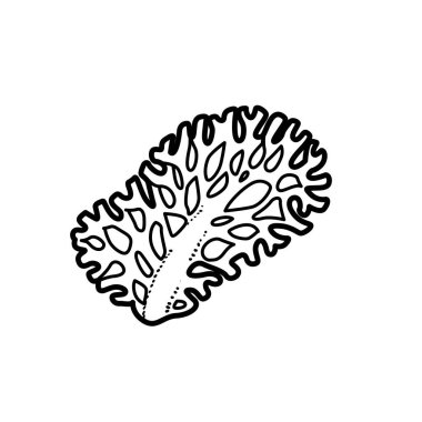 Beyaz arkaplanda izole edilmiş Corall boyama kitabı doğrusal çizimi