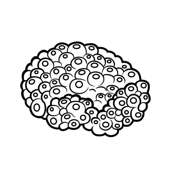 白色背景下孤立的圆形珊瑚着色书线性绘图 — 图库矢量图片
