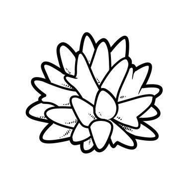 Beyaz arkaplanda izole edilmiş deniz kordonu nesne boyama kitabı doğrusal çizimi