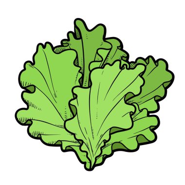 Beyaz arkaplanda izole edilmiş renklendirme sayfası için enfloresan renk varyasyonu