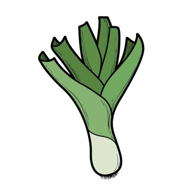 Beyaz arkaplanda izole edilmiş renklendirme sayfası için şablon renk varyasyonu