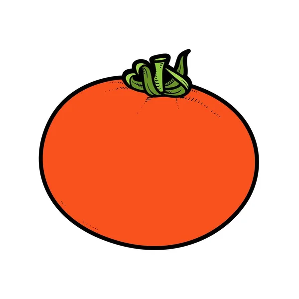 大的多汁番茄颜色变异 用于在白色背景上分离的着色页 — 图库矢量图片