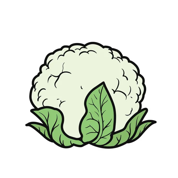 Cauliflower Color Variation Coloring Page Isolated White Background — Stock Vector