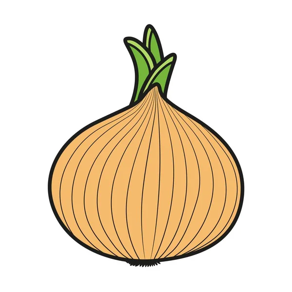 Sprouted Onions Color Variation Coloring Page Isolated White Background — Stock Vector