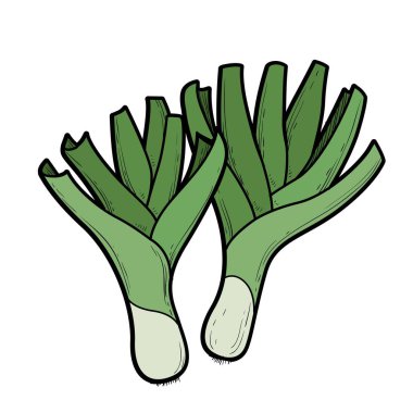 Beyaz arkaplanda izole edilmiş renklendirme sayfası için iki sap renk varyasyonu