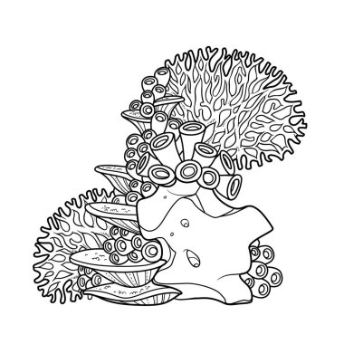 Mercanlar ve süngerler, beyaz arkaplanda izole edilmiş şekilsiz kumtaşı boyama kitabı çizgisinde büyürler.