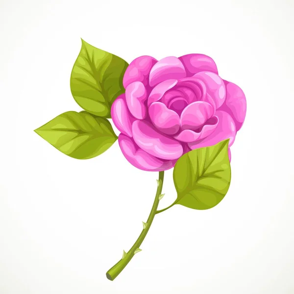 Pink Rose Isolated White Background — Stock Vector