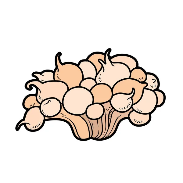 Wide Low Anemones Color Variation Coloring Page Isolated White Background — 图库矢量图片