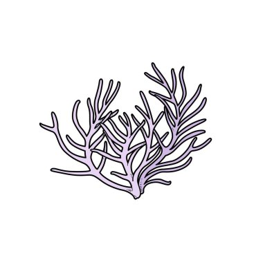 Beyaz arkaplanda izole edilmiş renklendirme sayfası için ince dallı mercan renk varyasyonu