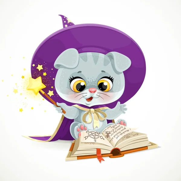 戴着魔法师帽子和斗篷的可爱卡通小猫咪读一本以白色背景为背景的咒语书 — 图库矢量图片